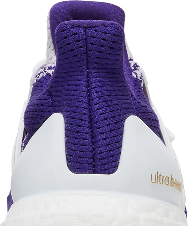 Adidas NCAA x UltraBoost 1.0 Washington Huskies, Purple