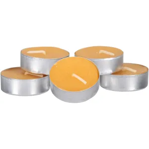 Coghlan S Citronella Tub Candles 6 Ct Box